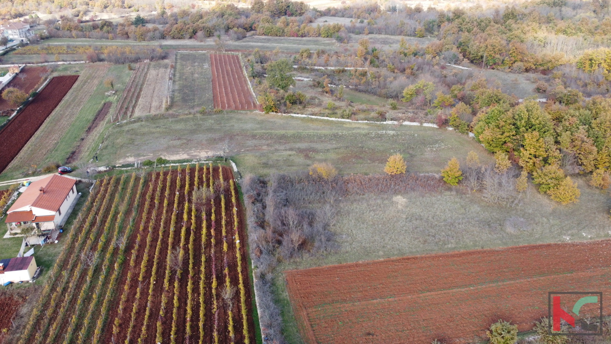 Istra - Svetvinčenat, zemljišče 5700m2 na mirni lokaciji
